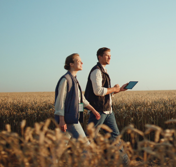 Two people walking through a wheat field carrying a tablet, checking rural connectivity Two people walking through a wheat field carrying a tablet, checking rural connectivity